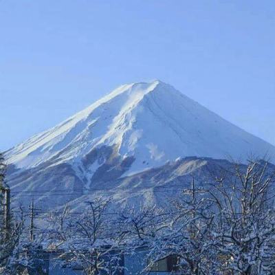 九阴九阳百度多酷版下载